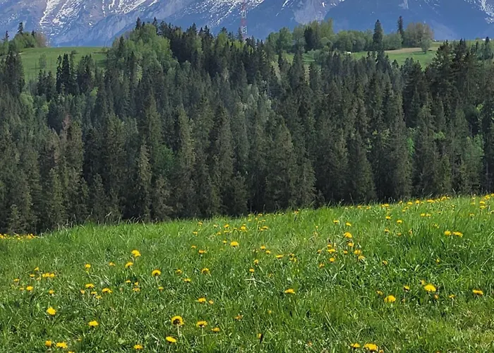 منزل للإقامة U Julki *